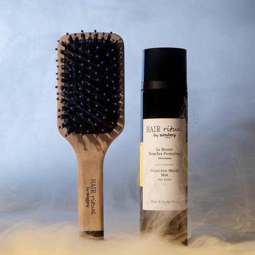 SISLEY La Brosse de Poche Brillance & Douceur 3473311690401 SISLEY La Brosse de Poche Brillance & Douceur 3473311690401
